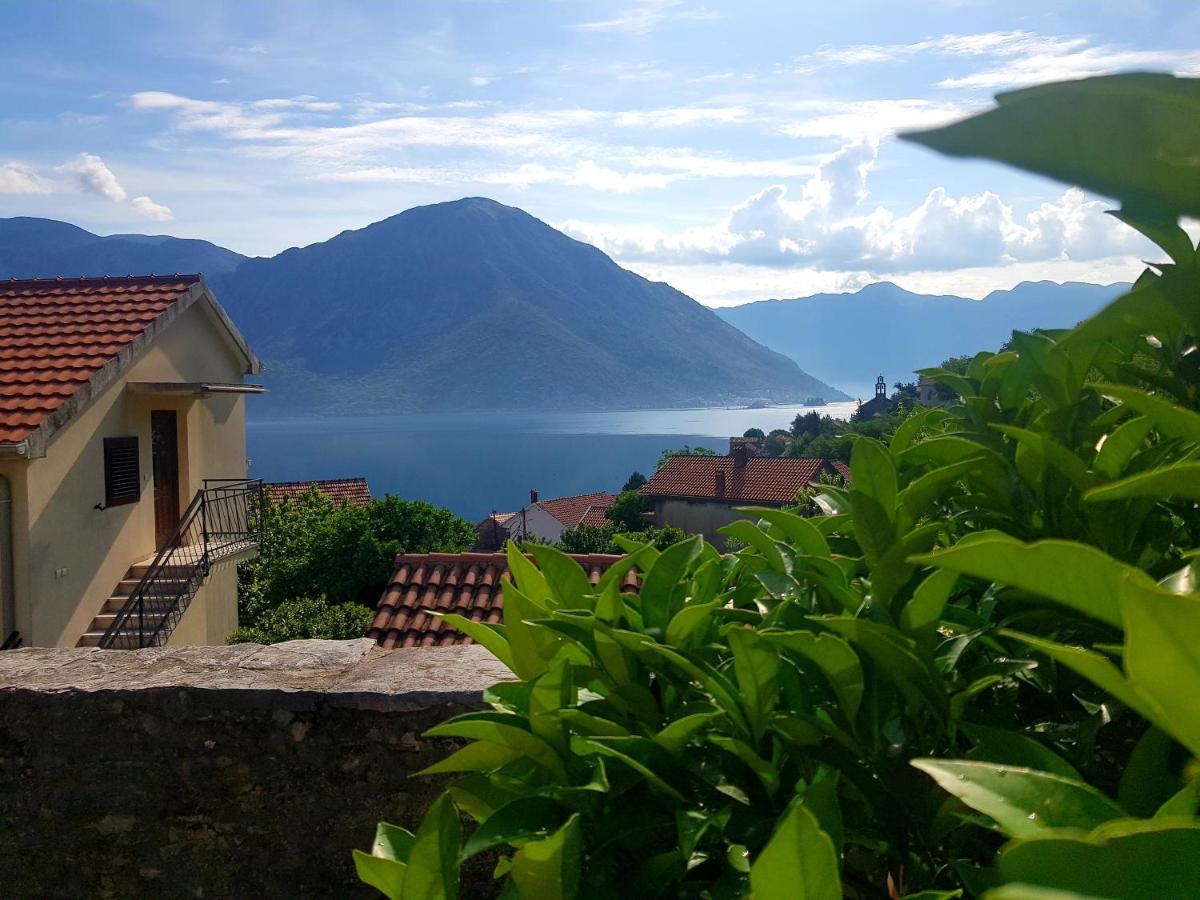 Guest House Maza Kotor Eksteriør billede