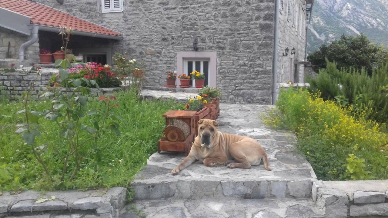Guest House Maza Kotor Eksteriør billede