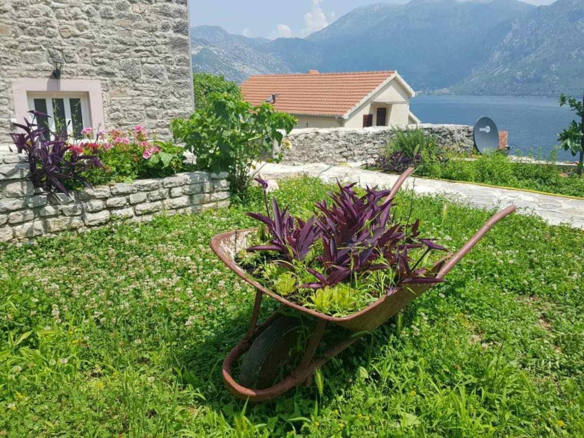 Guest House Maza Kotor Eksteriør billede
