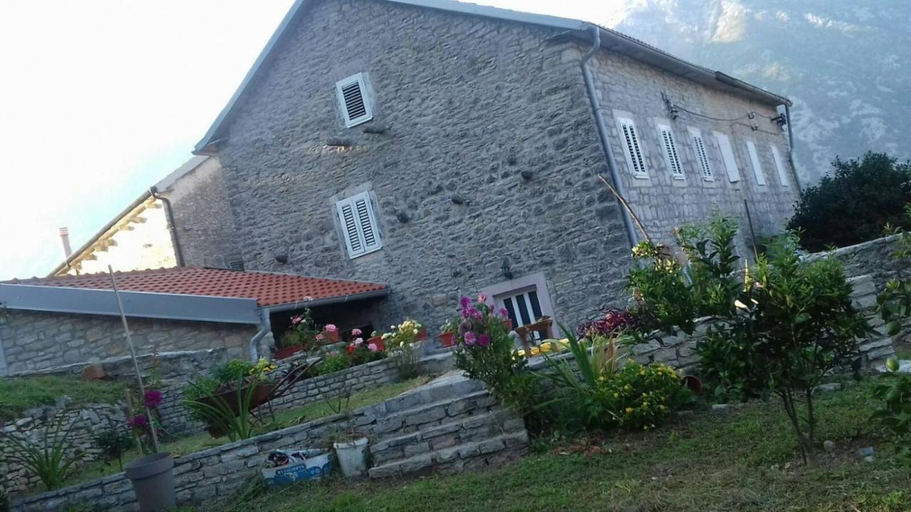 Guest House Maza Kotor Eksteriør billede