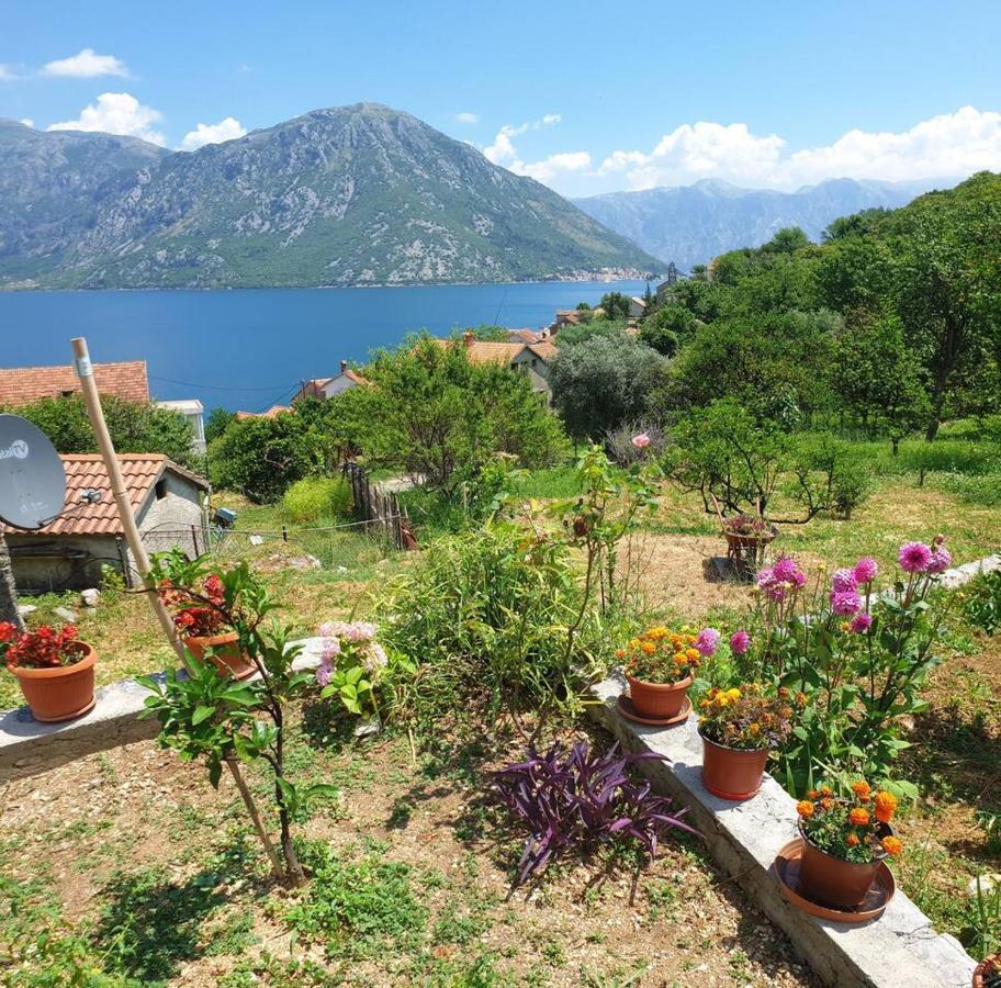 Guest House Maza Kotor Eksteriør billede