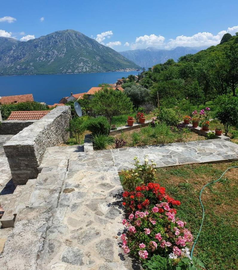 Guest House Maza Kotor Eksteriør billede