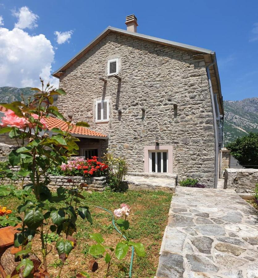 Guest House Maza Kotor Eksteriør billede
