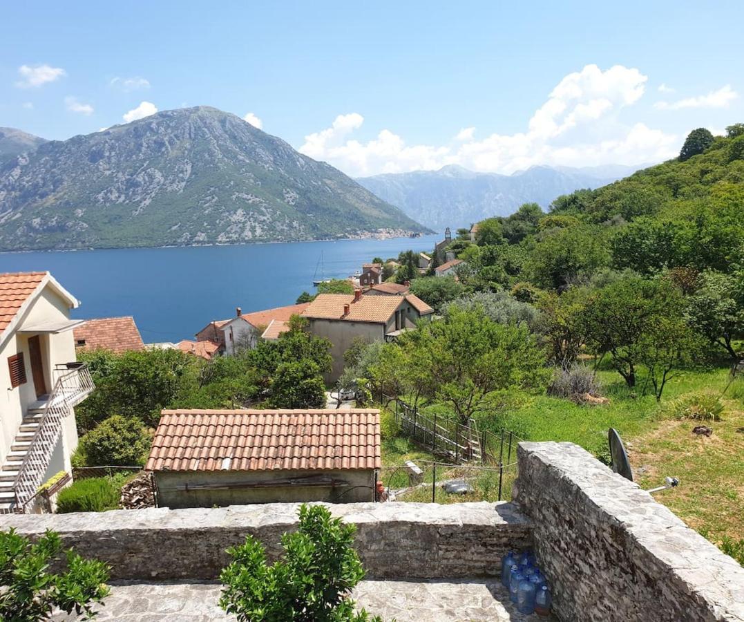 Guest House Maza Kotor Eksteriør billede